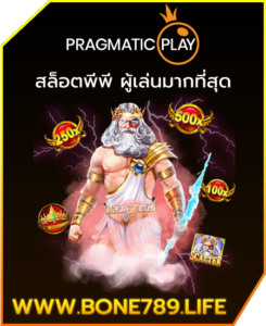 bone789-web-provider-banner-5-245x300